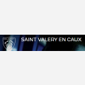 Peugeot saint valery en caux